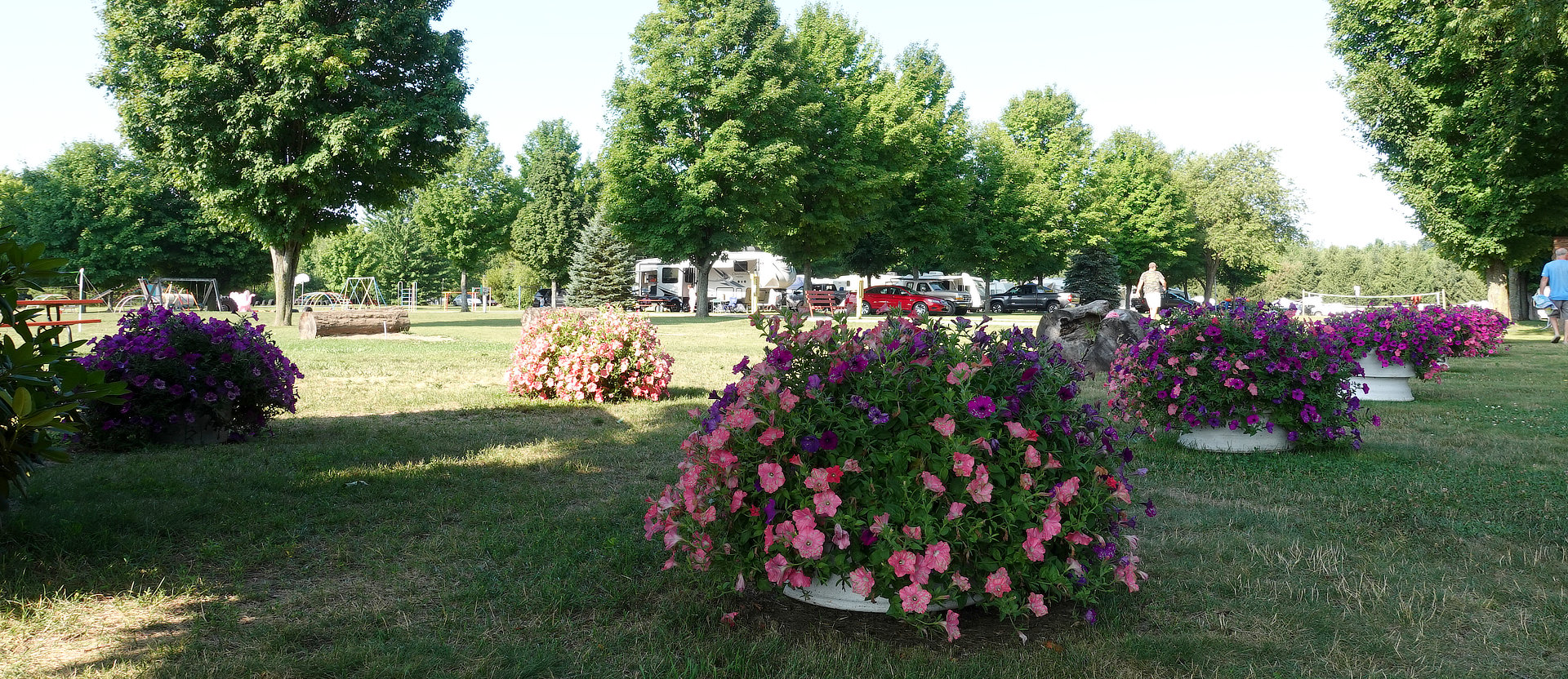 Flowers and RV sites